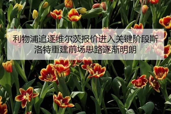 利物浦追逐维尔茨报价进入关键阶段斯洛特重建前场思路逐渐明朗